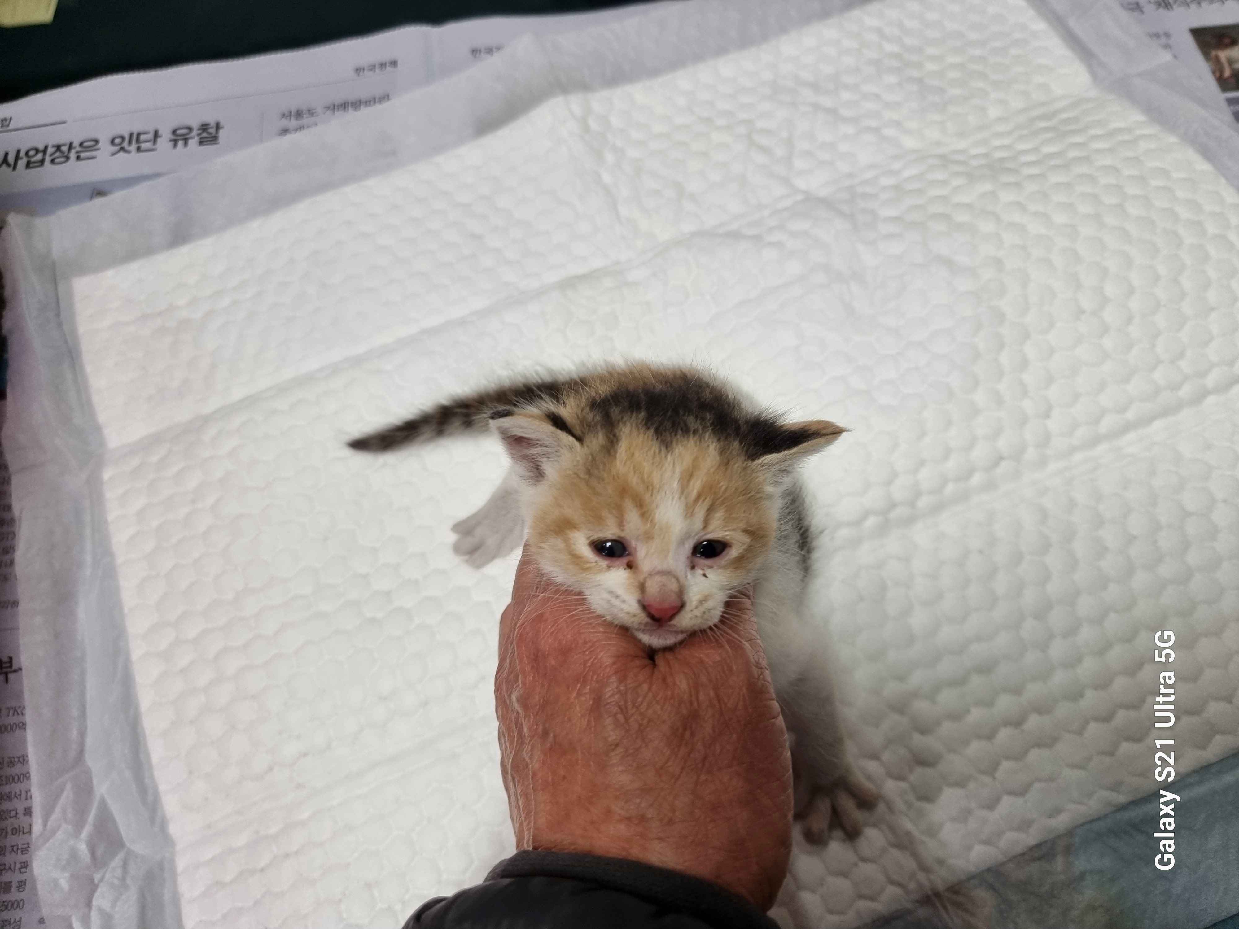 경동동물병원_428350202400218