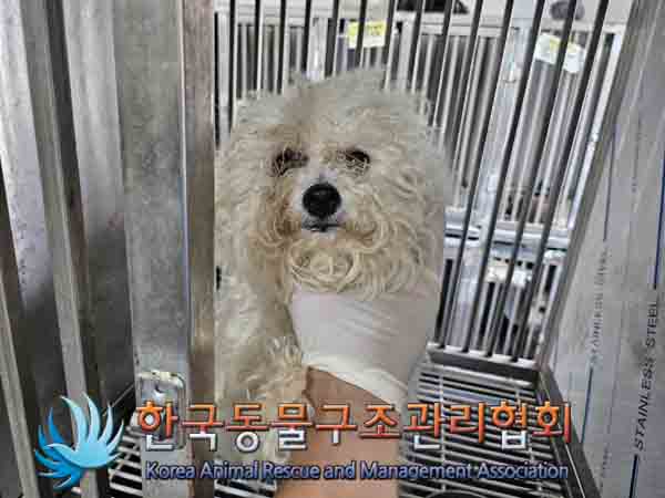 한국동물구조관리협회_411309202400327