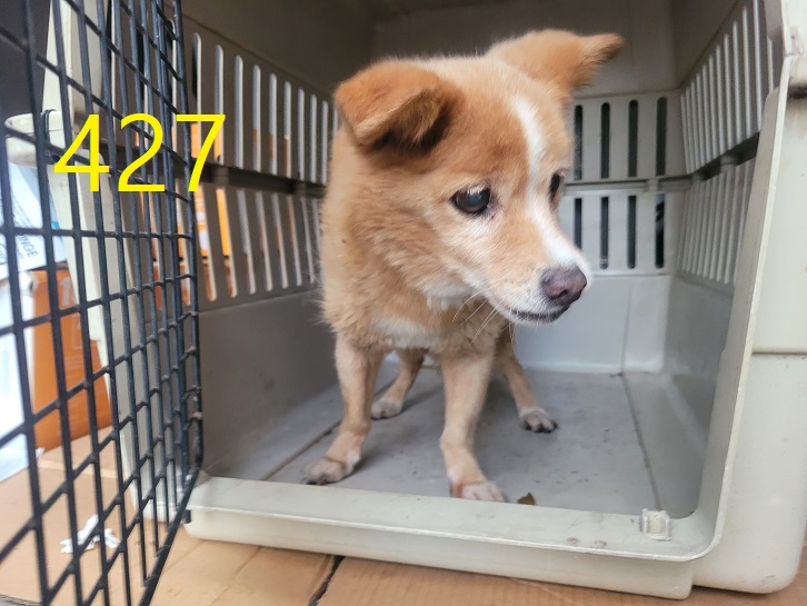 신영재동물병원_428355202400749