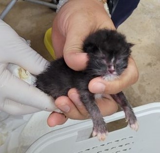 제주 동물보호센터_450650202403146