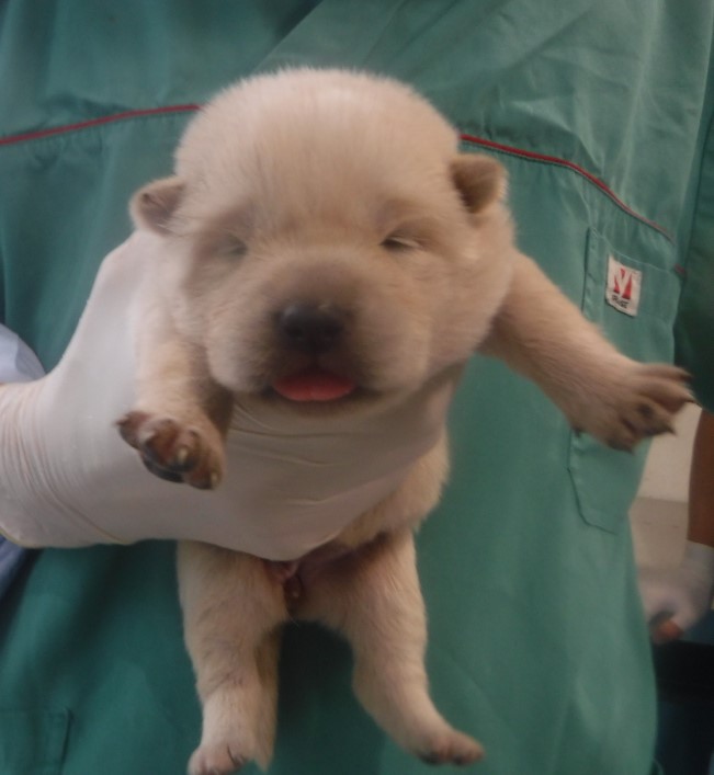 제주 동물보호센터_450650202403130