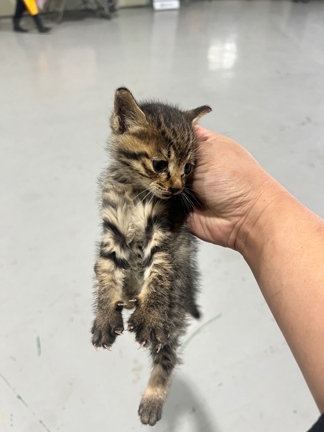 부산동물보호센터_426332202400633