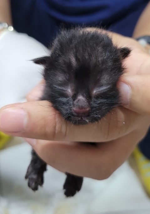 제주 동물보호센터_450650202403145