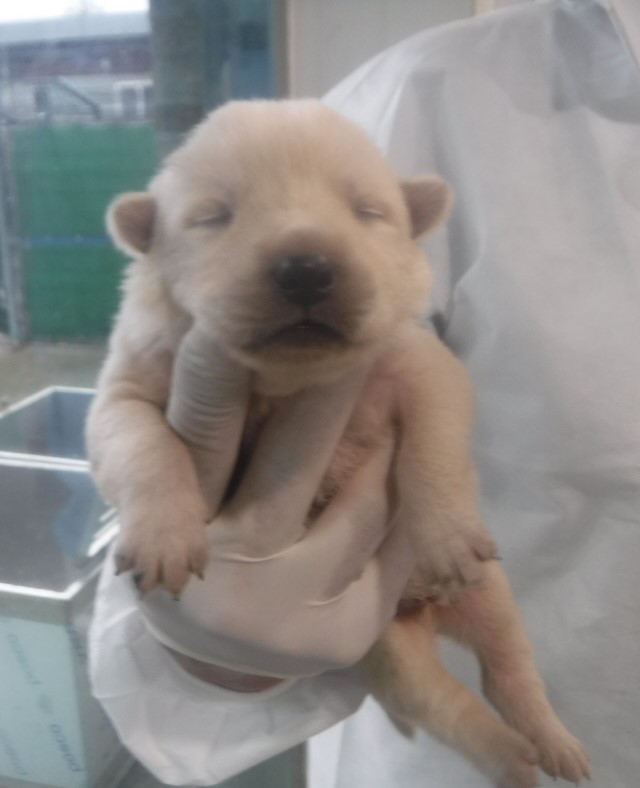 제주 동물보호센터_450650202403129