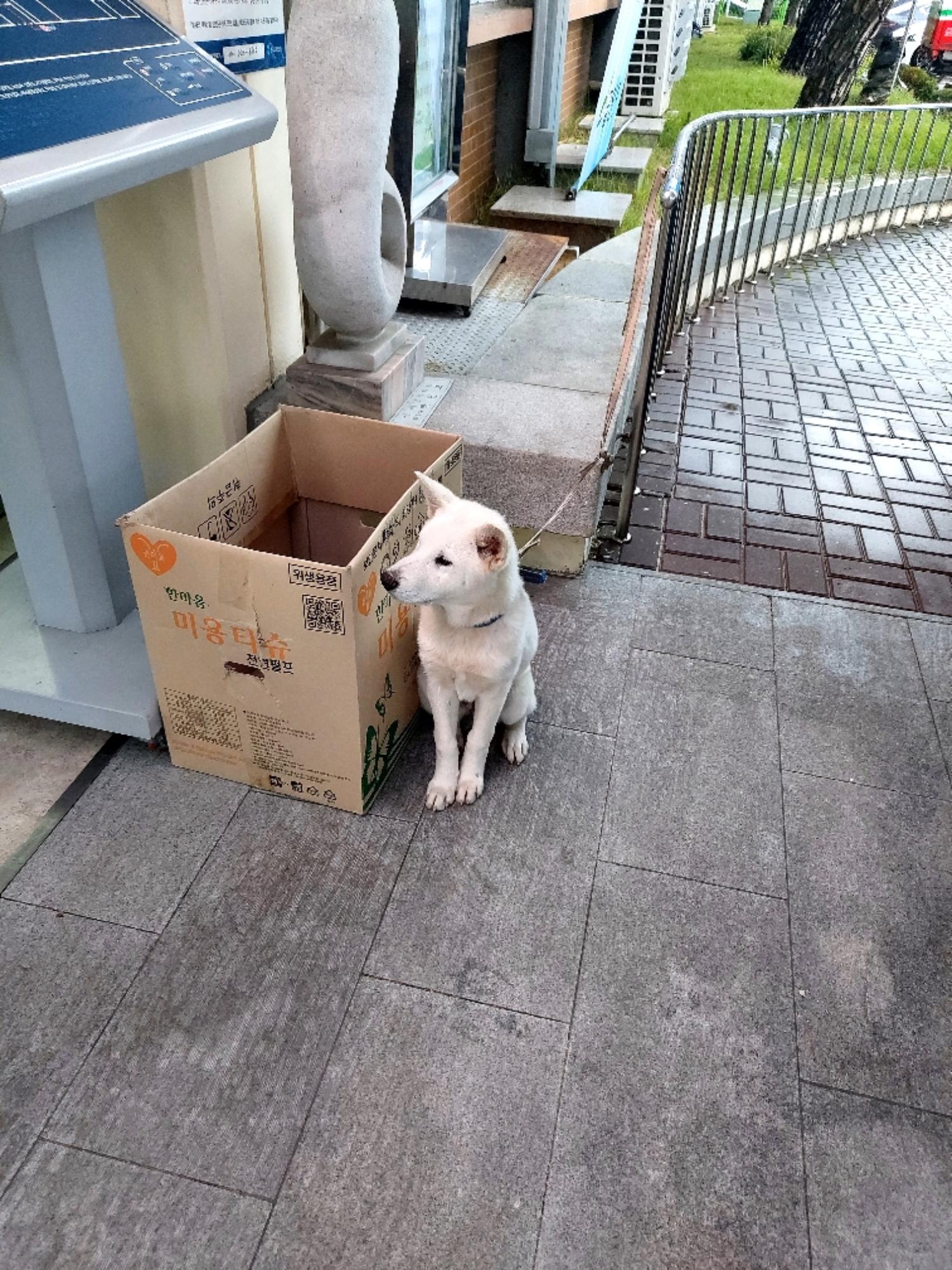 제일동물병원_444455202400598