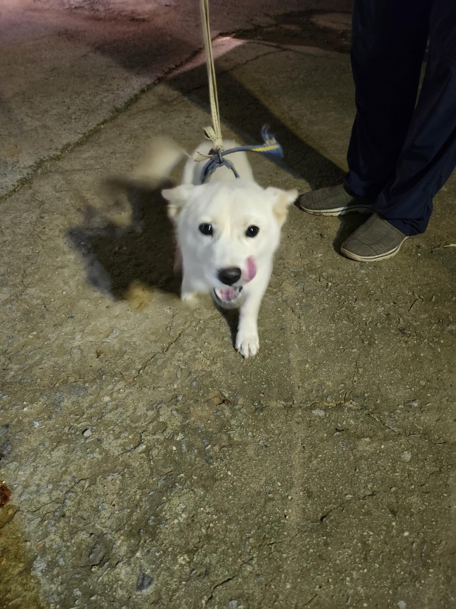 금일동물보호센터_444460202400878