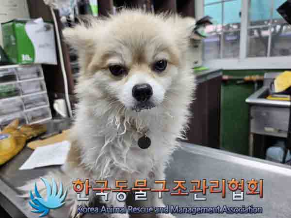 한국동물구조관리협회_411306202400834