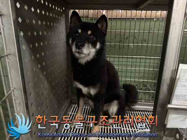 한국동물구조관리협회_411311202400898