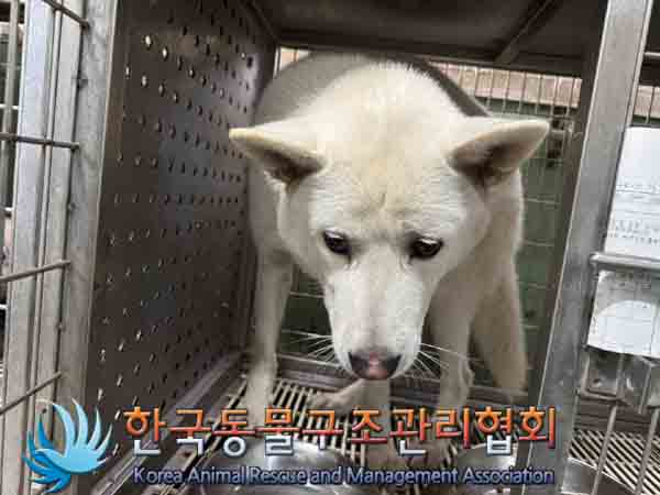 한국동물구조관리협회_441409202401632