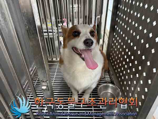 한국동물구조관리협회_411307202400512