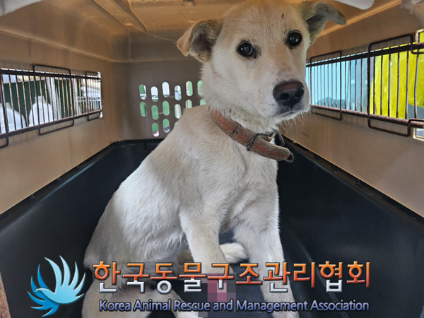 한국동물구조관리협회_441414202400802