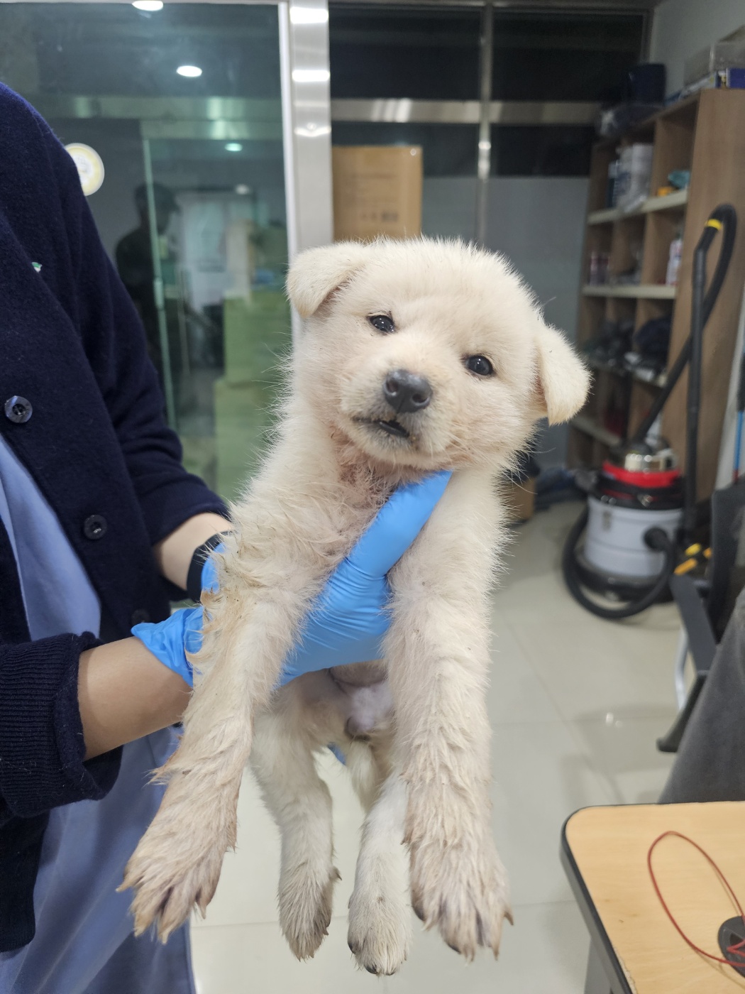 반려동물보호센터_443571202402902