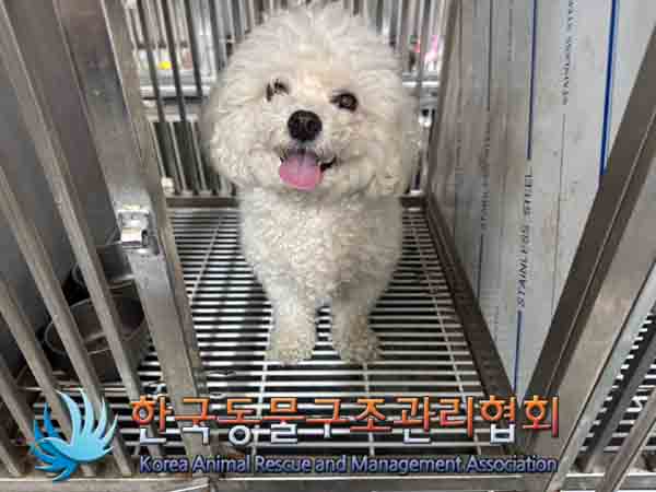 한국동물구조관리협회_411310202400660