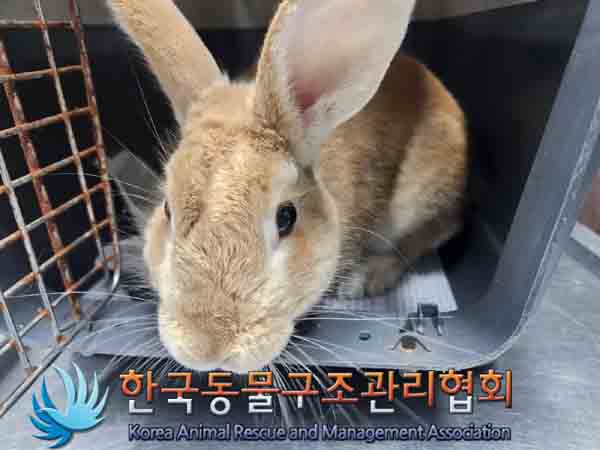 한국동물구조관리협회_441409202401634