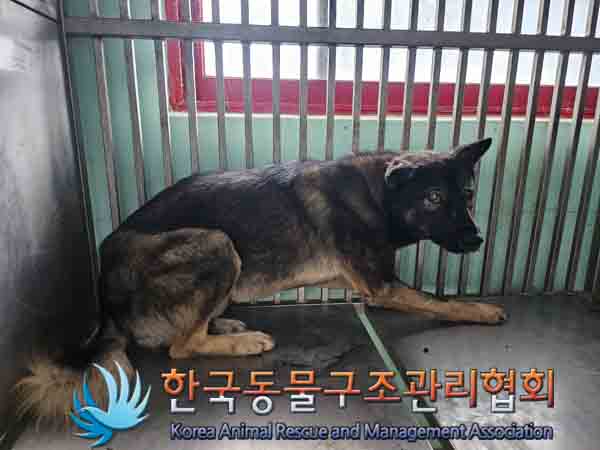 한국동물구조관리협회_411300202400450