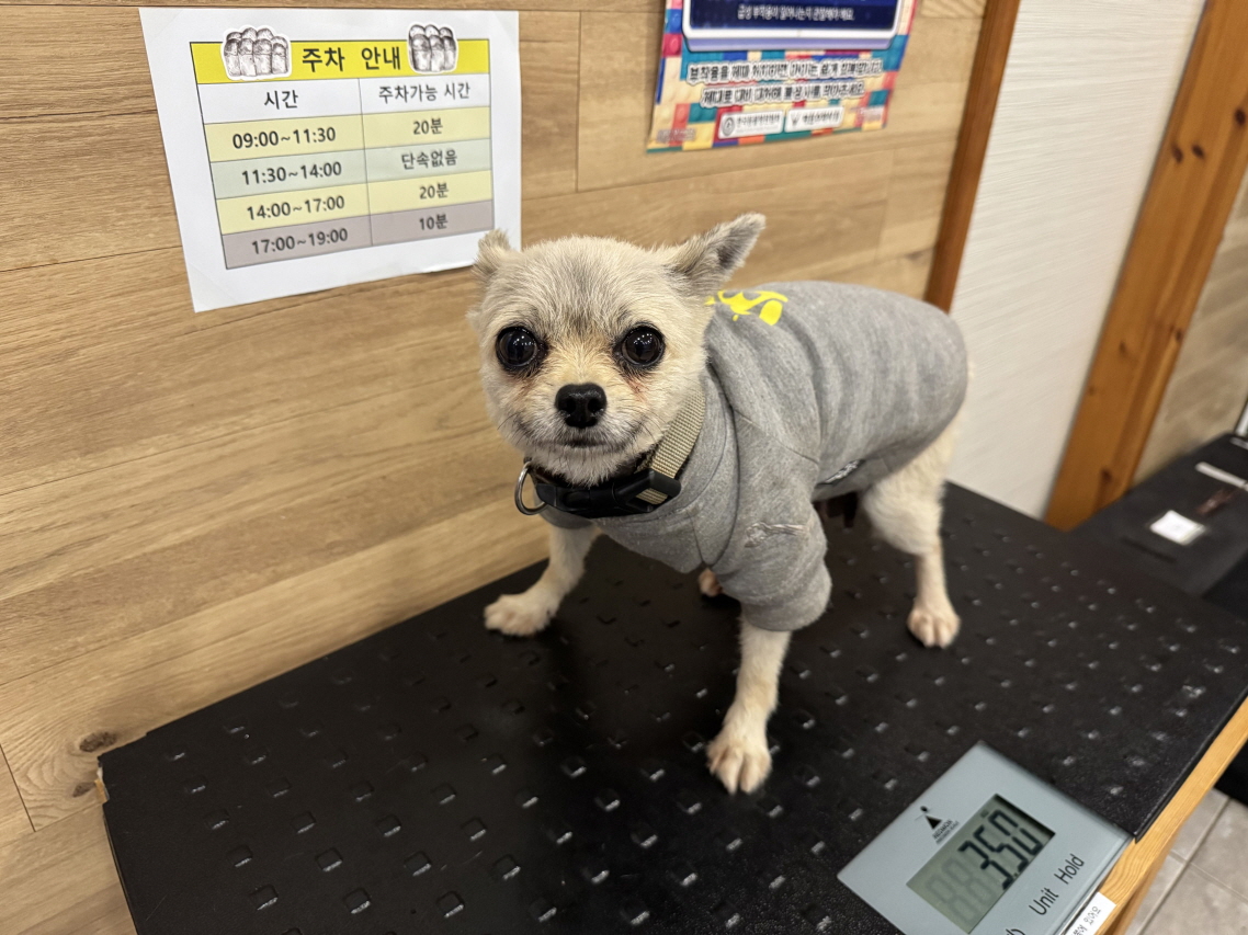 프렌즈동물병원_445464202403326