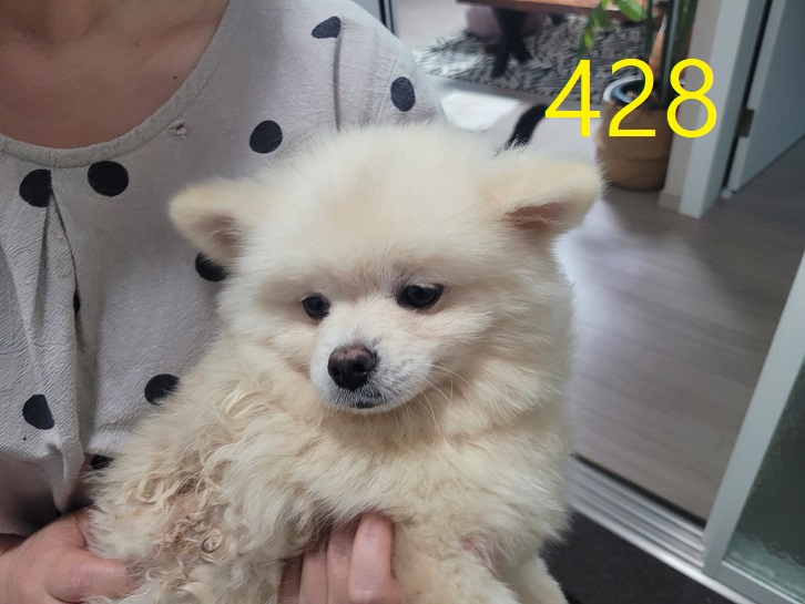 신영재동물병원_428355202400757