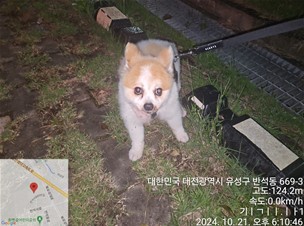 대전동물보호센터_430367202400775