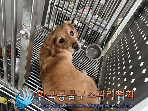 한국동물구조관리협회_411315202400540