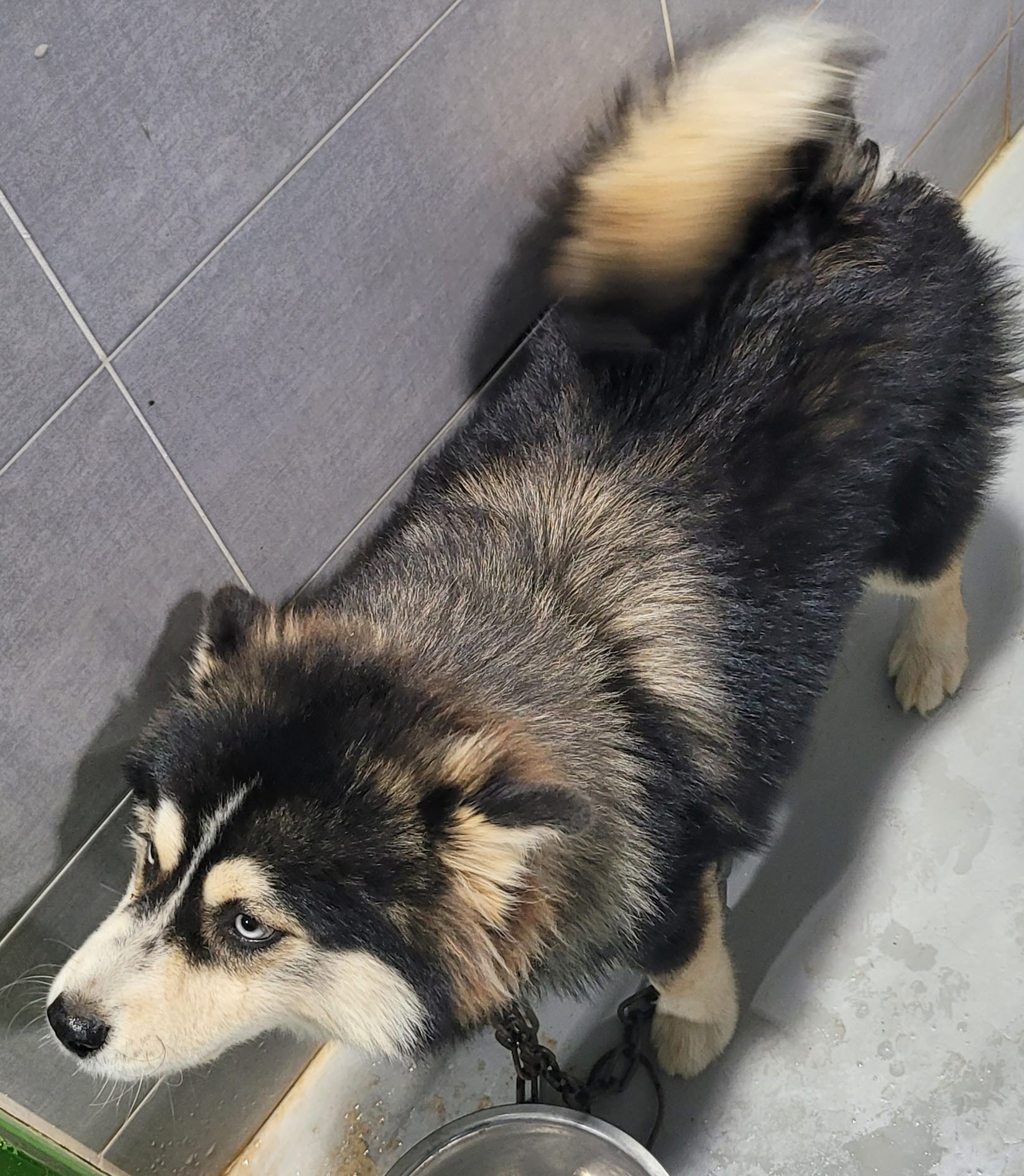 울진군동물보호센터_447525202400443