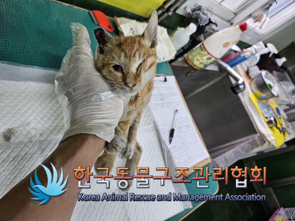 한국동물구조관리협회_411311202400899