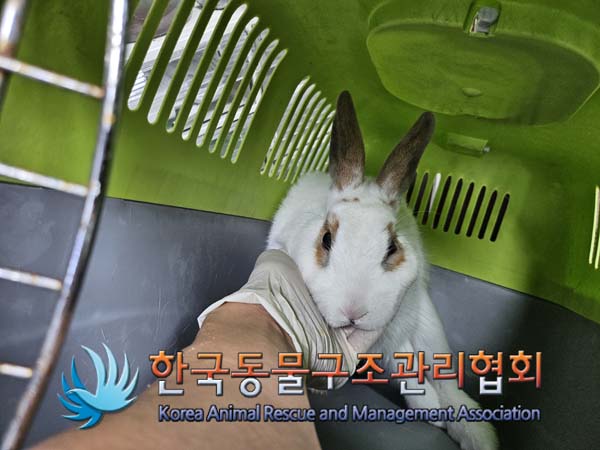 한국동물구조관리협회_411305202400682