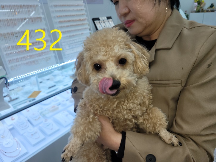 신영재동물병원_428355202400761