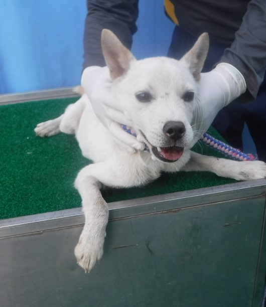 제주 동물보호센터_450650202403161