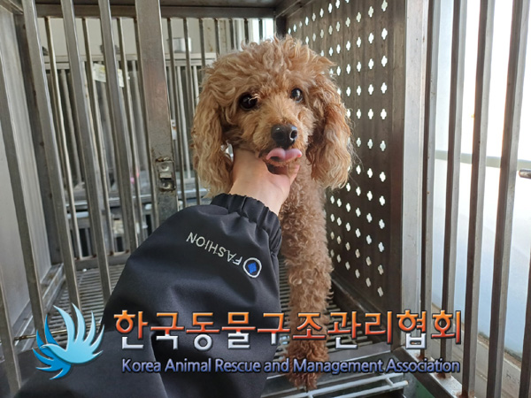 한국동물구조관리협회_411318202400424