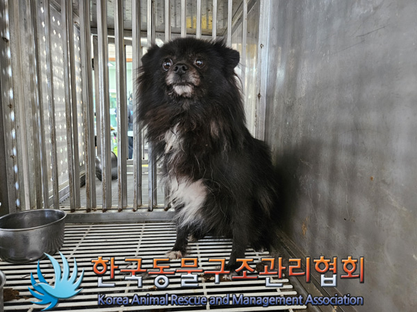 한국동물구조관리협회_441382202400773