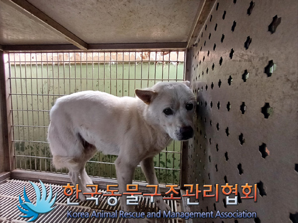 한국동물구조관리협회_441560202401313