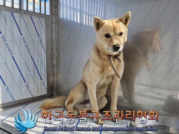 한국동물구조관리협회_441414202400809