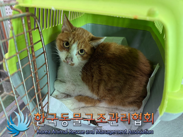 한국동물구조관리협회_441559202401157