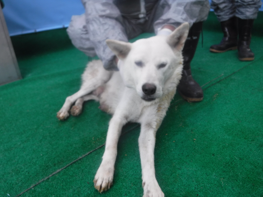 제주 동물보호센터_450650202403173