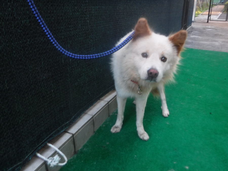제주 동물보호센터_450650202403182