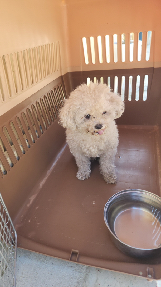 익산유기동물보호소_445468202402877