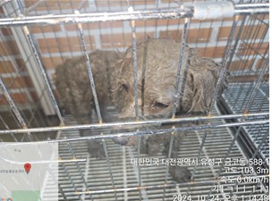 대전동물보호센터_430367202400779
