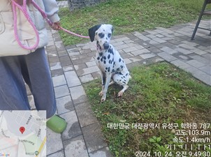 대전동물보호센터_430367202400777