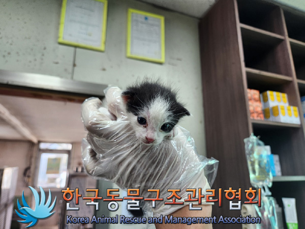 한국동물구조관리협회_441382202400777