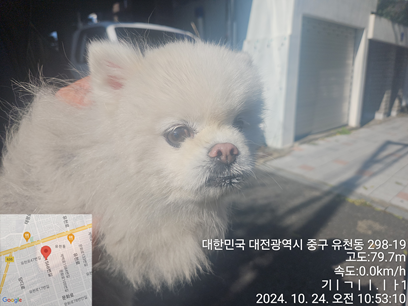 대전동물보호센터_430365202400560