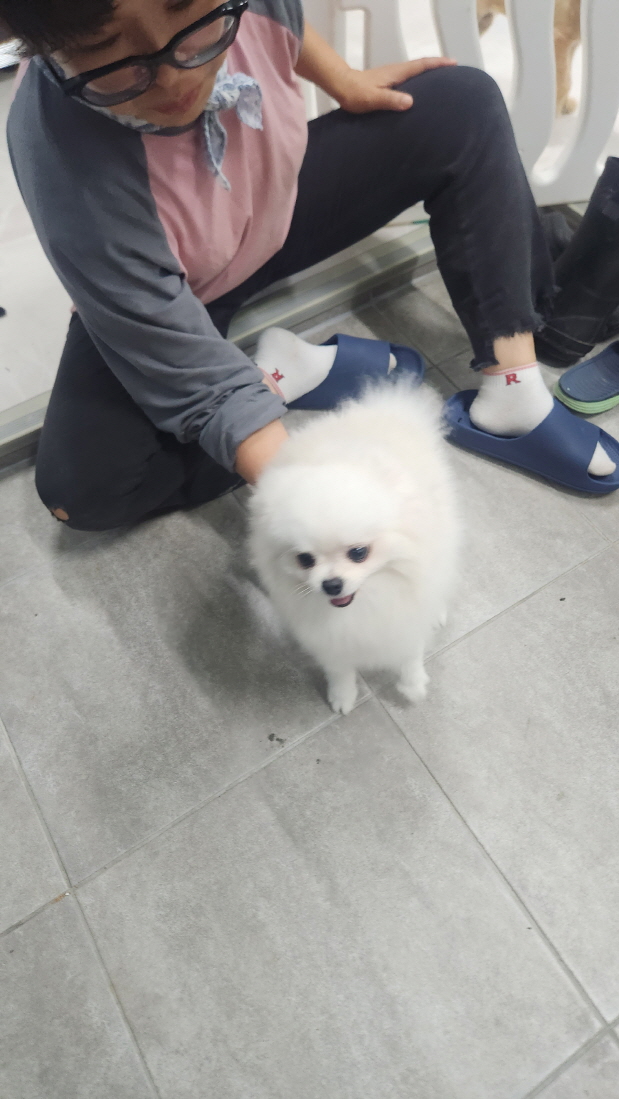 익산유기동물보호소_445468202402886