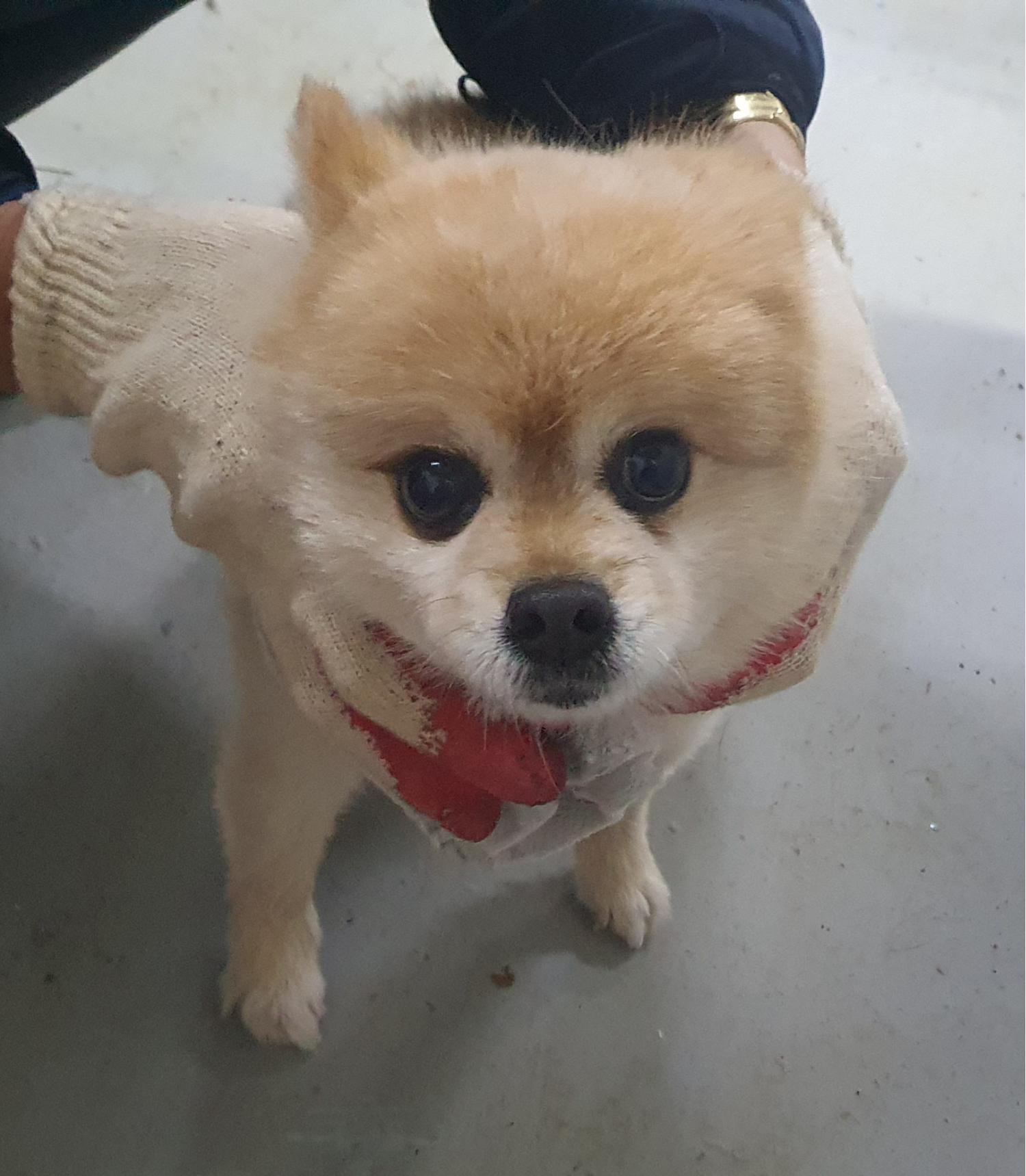 인천광역시수의사회_428353202401113