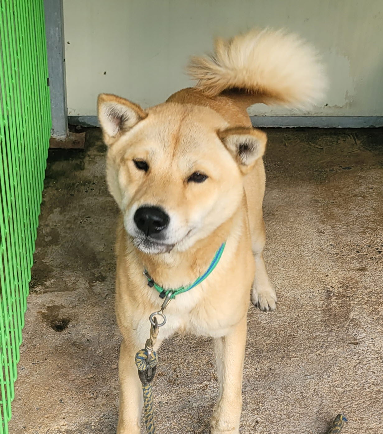 울진군동물보호센터_447525202400459