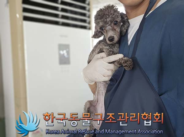 한국동물구조관리협회_441559202401166
