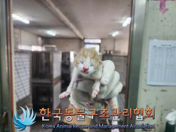 한국동물구조관리협회_441559202401167