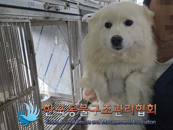 한국동물구조관리협회_441560202401320