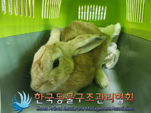 한국동물구조관리협회_411322202400753