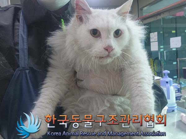 한국동물구조관리협회_411306202400849