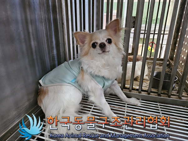 한국동물구조관리협회_441406202401831