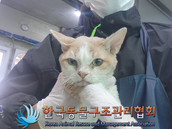 한국동물구조관리협회_441406202401833